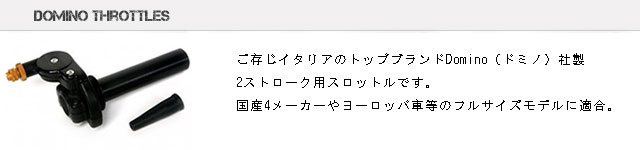 ドミノスロットル